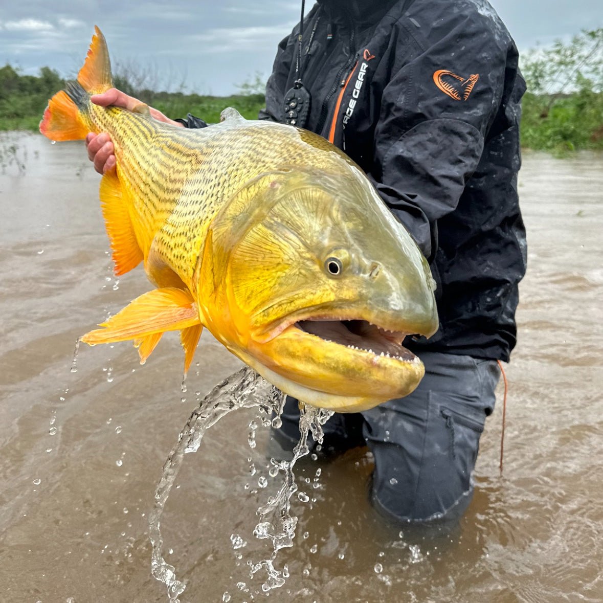 Feather Craft - Argentina Hosted Travel: Don Joaquín River Lodge - Feather Craft Fly Fishing