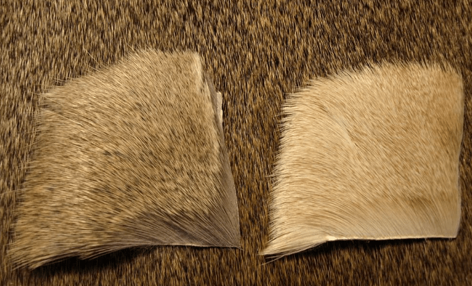 Feather Craft - Bleached Deer Hock - Feather Craft Fly Fishing