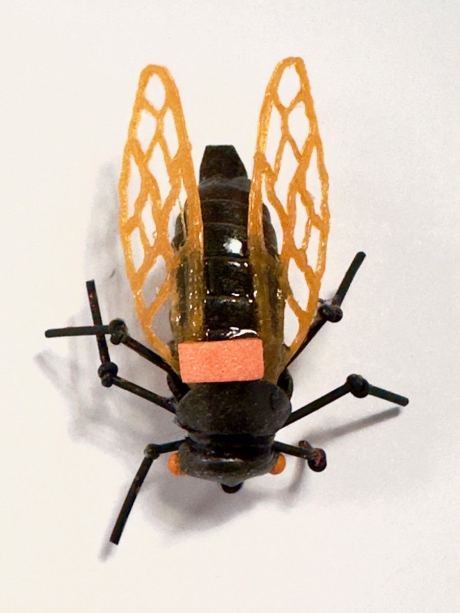 Feather Craft - Chocklett's 3D Wings - Feather Craft Fly Fishing
