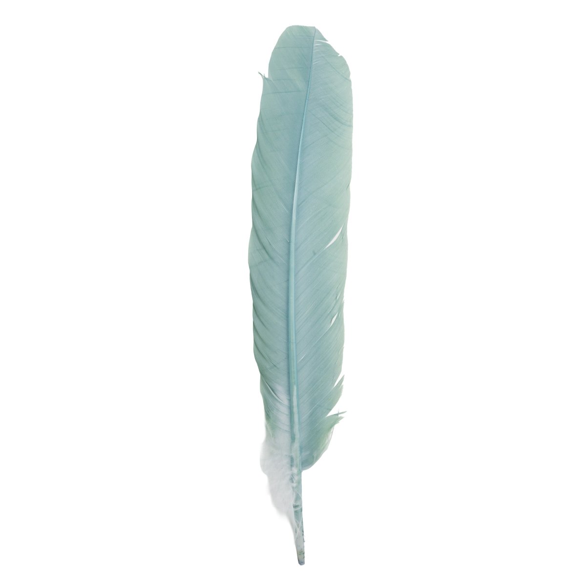 Feather Craft - Feather Craft Dyed Turkey Rounds - Feather Craft Fly Fishing