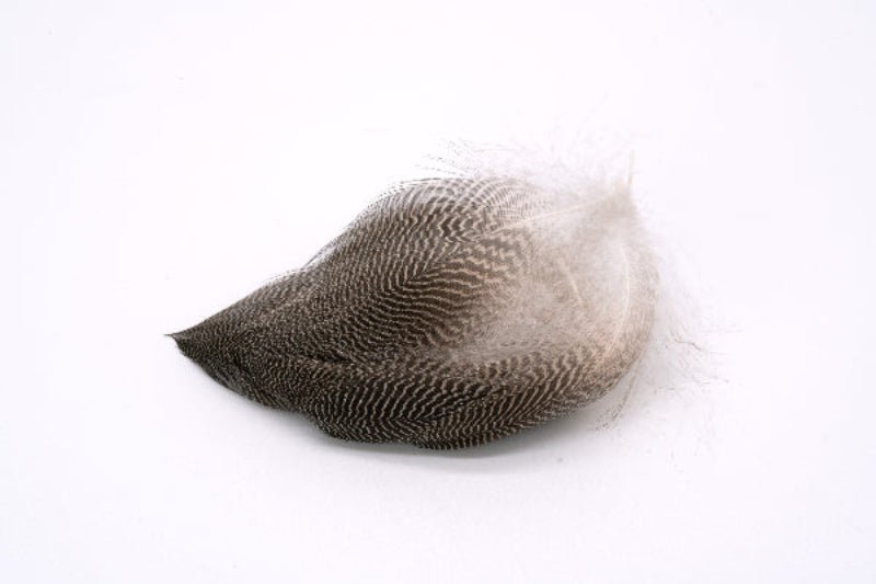 Feather Craft Fly Fishing - Bulk Gadwall Flank - Feather Craft Fly Fishing