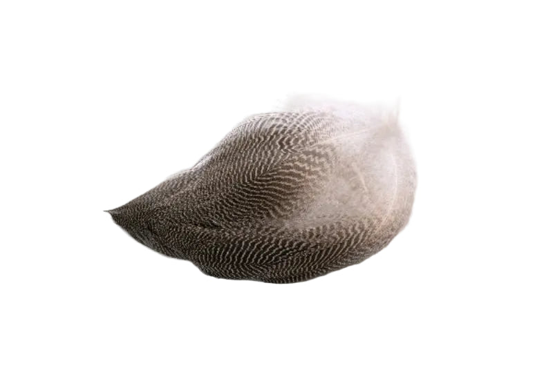 Feather Craft Fly Fishing - Bulk Gadwall Flank - Feather Craft Fly Fishing