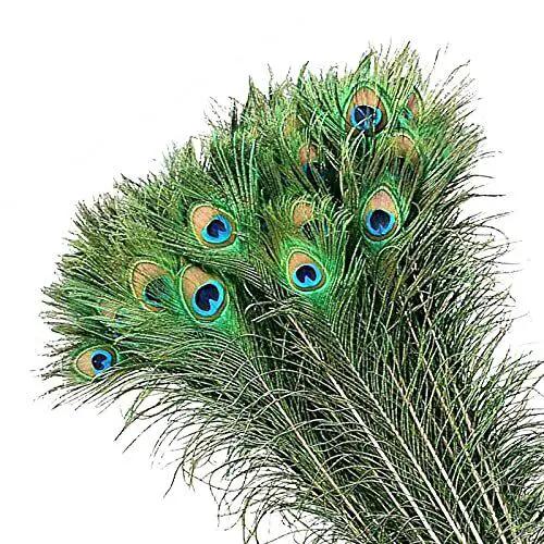 Peacock Eyes by Feather Craft