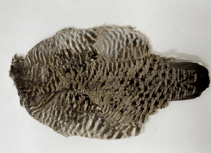 Feather Craft - Prairie Chicken Skin - Feather Craft Fly Fishing