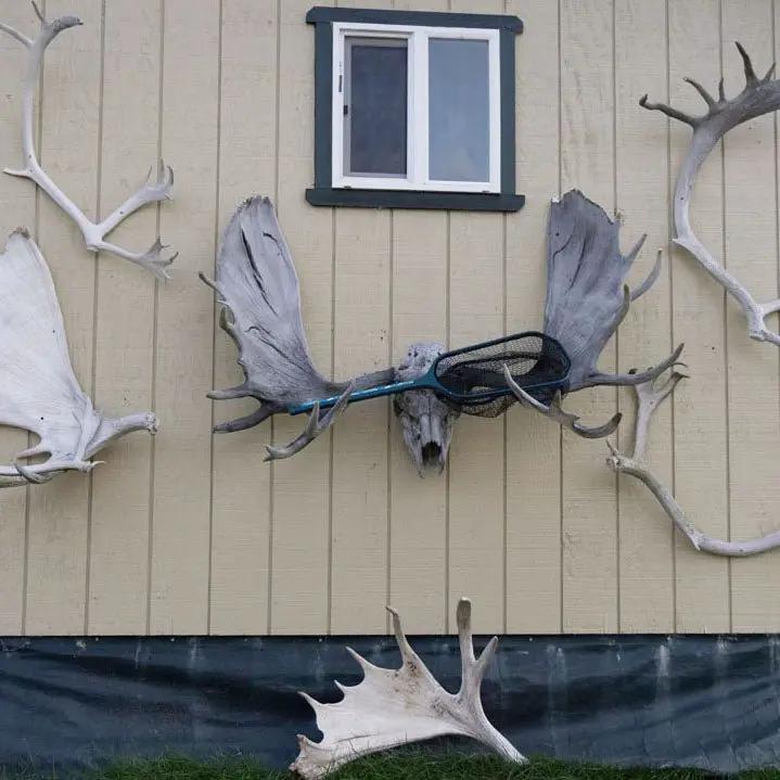 Alaska Trophy Adventures Lodge by Feather Craft Pursuits