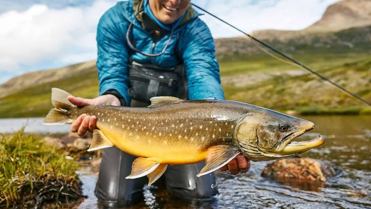 Camp North, Greenland | August 14-25 2028 by Feather Craft Pursuits