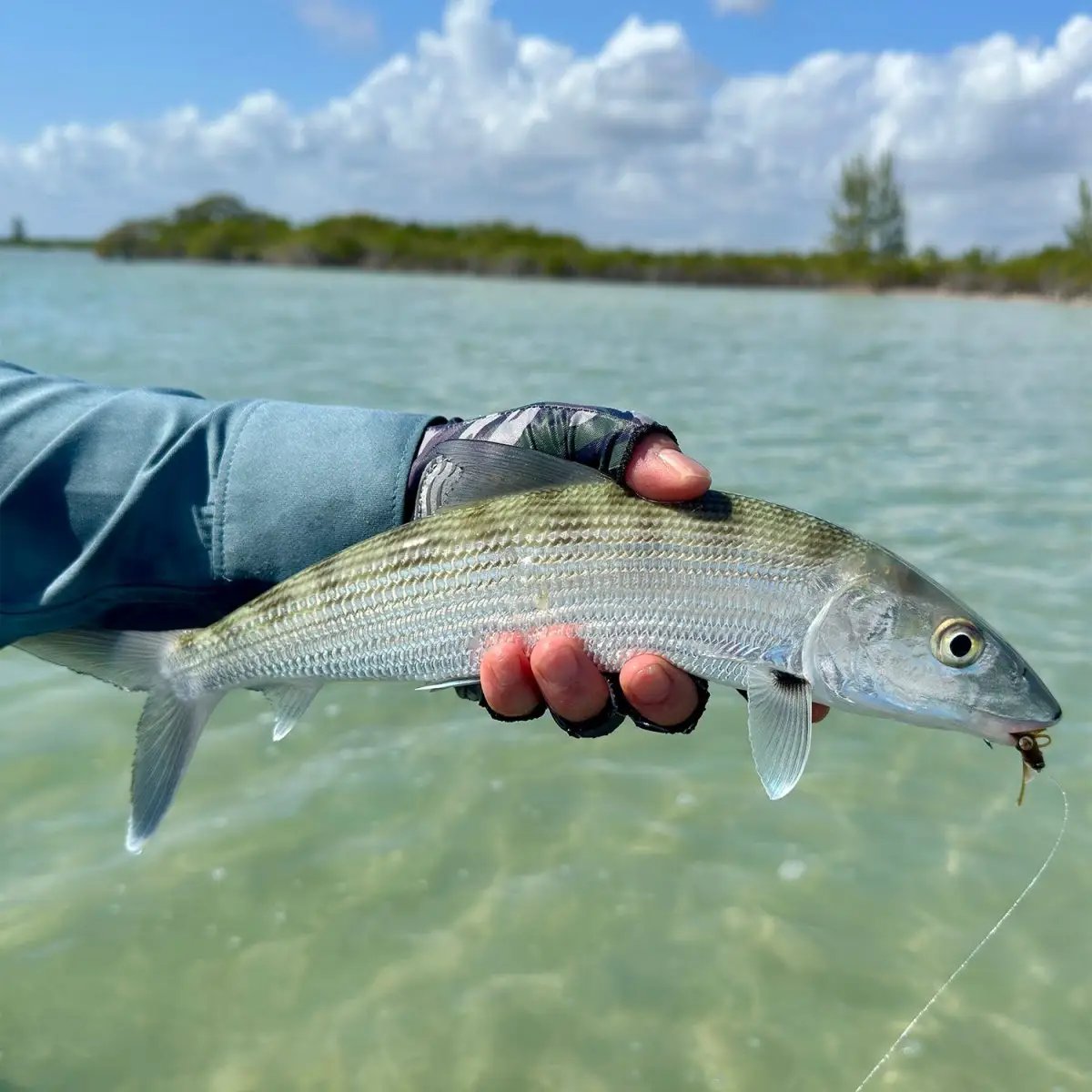 El Pescador Lodge Belize | Hosted Week by Feather Craft Pursuits