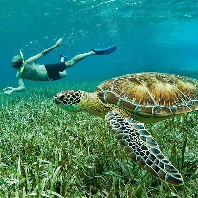 El Pescador Lodge Belize | Hosted Week by Feather Craft Pursuits