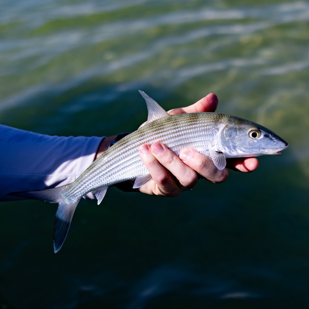 Feather Craft Pursuits - El Pescador Lodge Belize - Feather Craft Fly Fishing