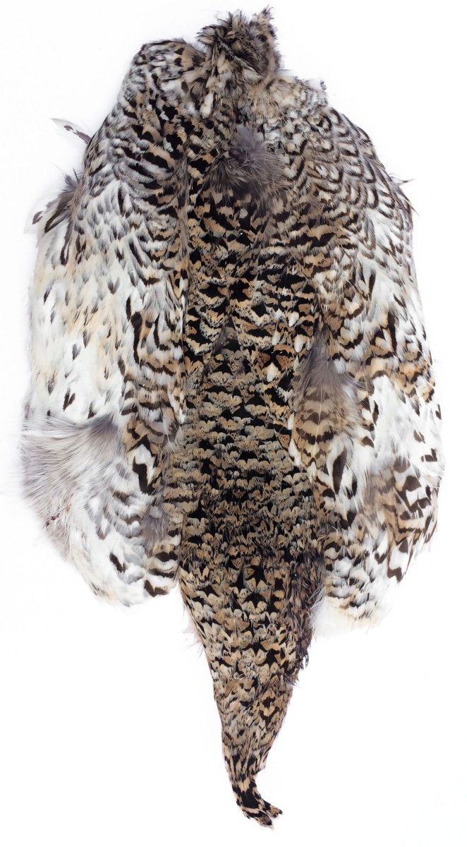 Feather Craft - Sharptail Grouse Skin - Feather Craft Fly Fishing