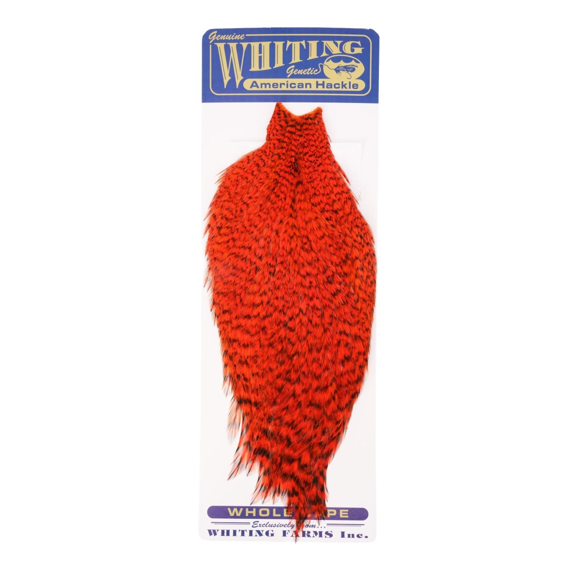 Feather Craft - Whiting American Rooster Capes - Grizzly - Feather Craft Fly Fishing