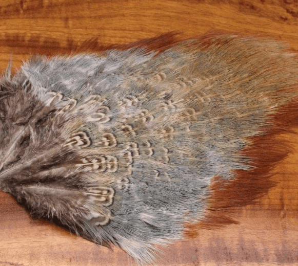 Feather Craft - Wild Cock Ringneck Pheasant Rump Patches - Feather Craft Fly Fishing