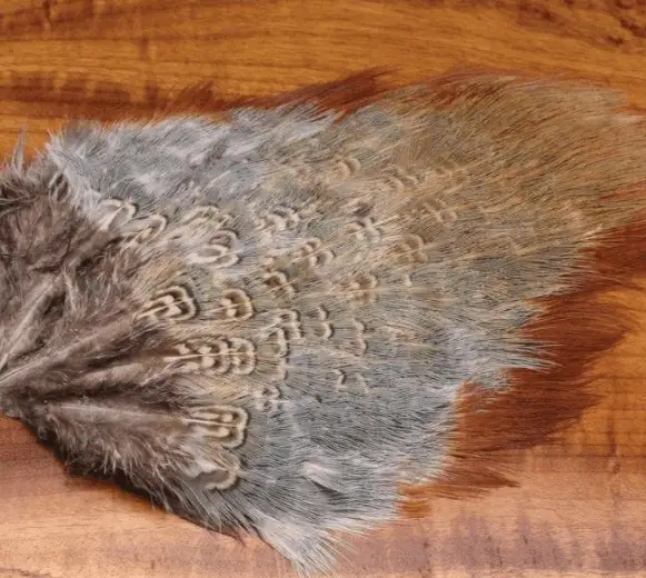 Feather Craft - Wild Cock Ringneck Pheasant Rump Patches - Feather Craft Fly Fishing