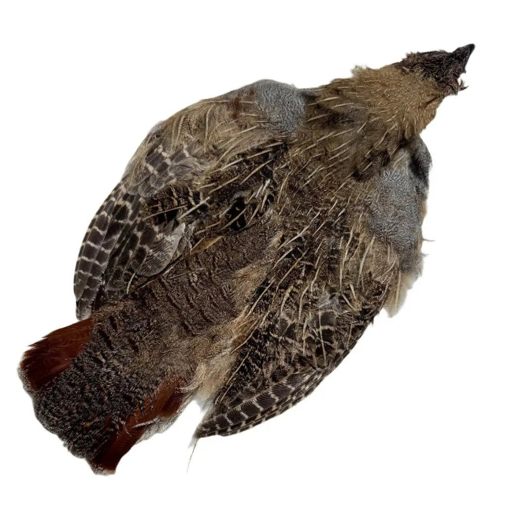 Wild Hungarian Partridge Skins - Grade-3 by Feather Craft
