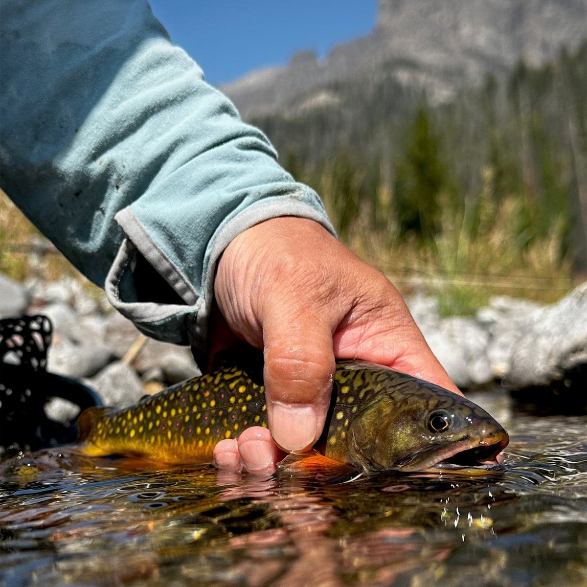 Feather Craft - Wyoming Hosted Travel: Wind River Range - Feather Craft Fly Fishing