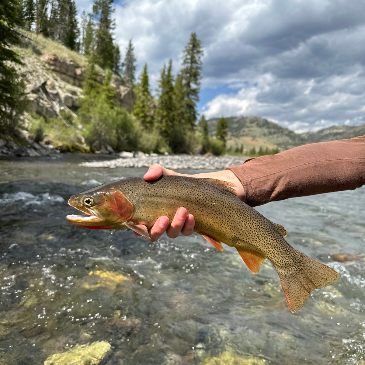 Feather Craft - Wyoming Hosted Travel: Wind River Range - Feather Craft Fly Fishing