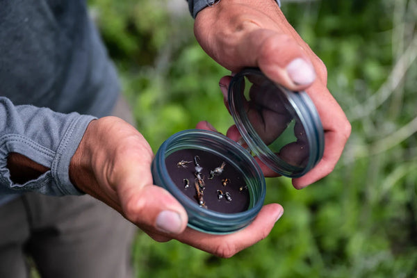 Fishpond Shallow Magpad Fly Puck Fishpond Shallow Magpad Fly Puck