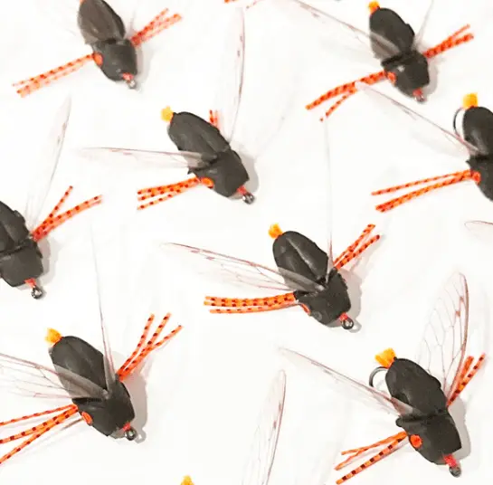 Cicada Fly Tying Kit by Flymen Fishing Company