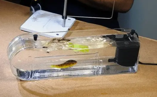 Flymen Edition Fly Tester by Flymen Fishing Company