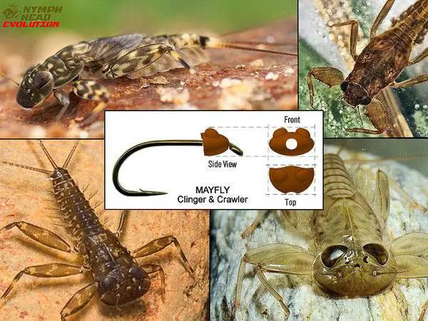Nymph Head Evolution "Mayfly Clingers & Crawlers" Tungsten Bead Heads by Flymen Fishing Company