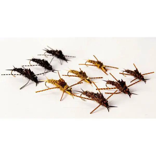Nymph Head Evolution Stonefly" Tungsten Bead Heads by Flymen Fishing Company