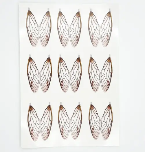 Surface Seducer Cicada Wings by Flymen Fishing Company