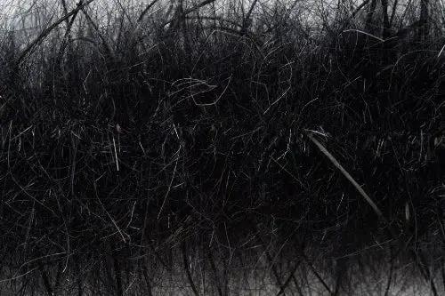 Fulling Mill Leggy Voodoo Brush by Fulling Mill