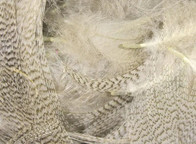 Dyed Mallard Flank by Hareline Dubbin