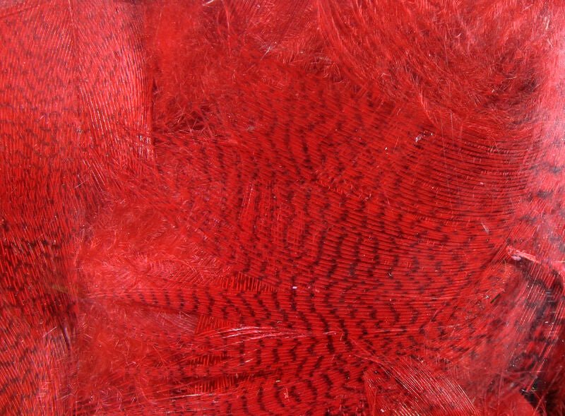 Hareline Dubbin - Dyed Mallard Flank - Feather Craft Fly Fishing