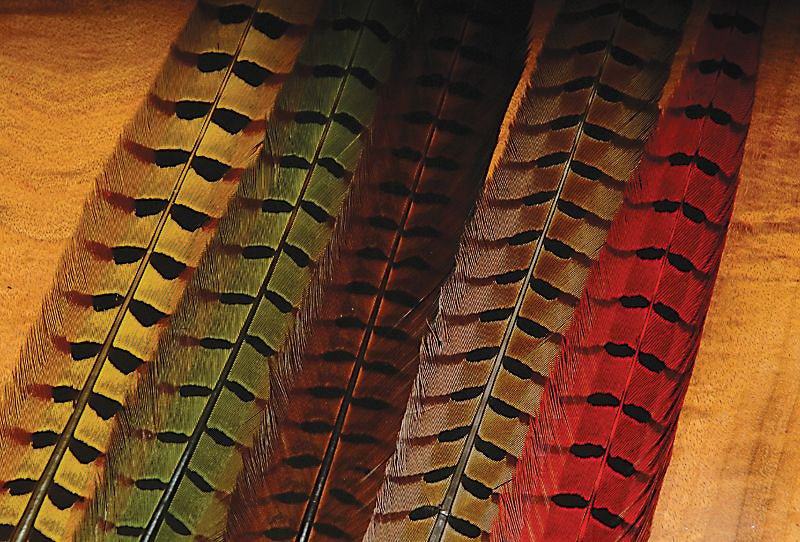 Hareline Dubbin - Dyed Pheasant Tails - Feather Craft Fly Fishing