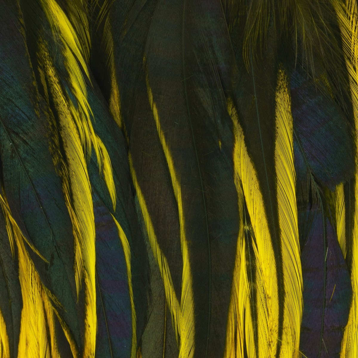 Hareline Dubbin - Hareline Badger 5"-7" Strung Saddle Hackle - Feather Craft Fly Fishing