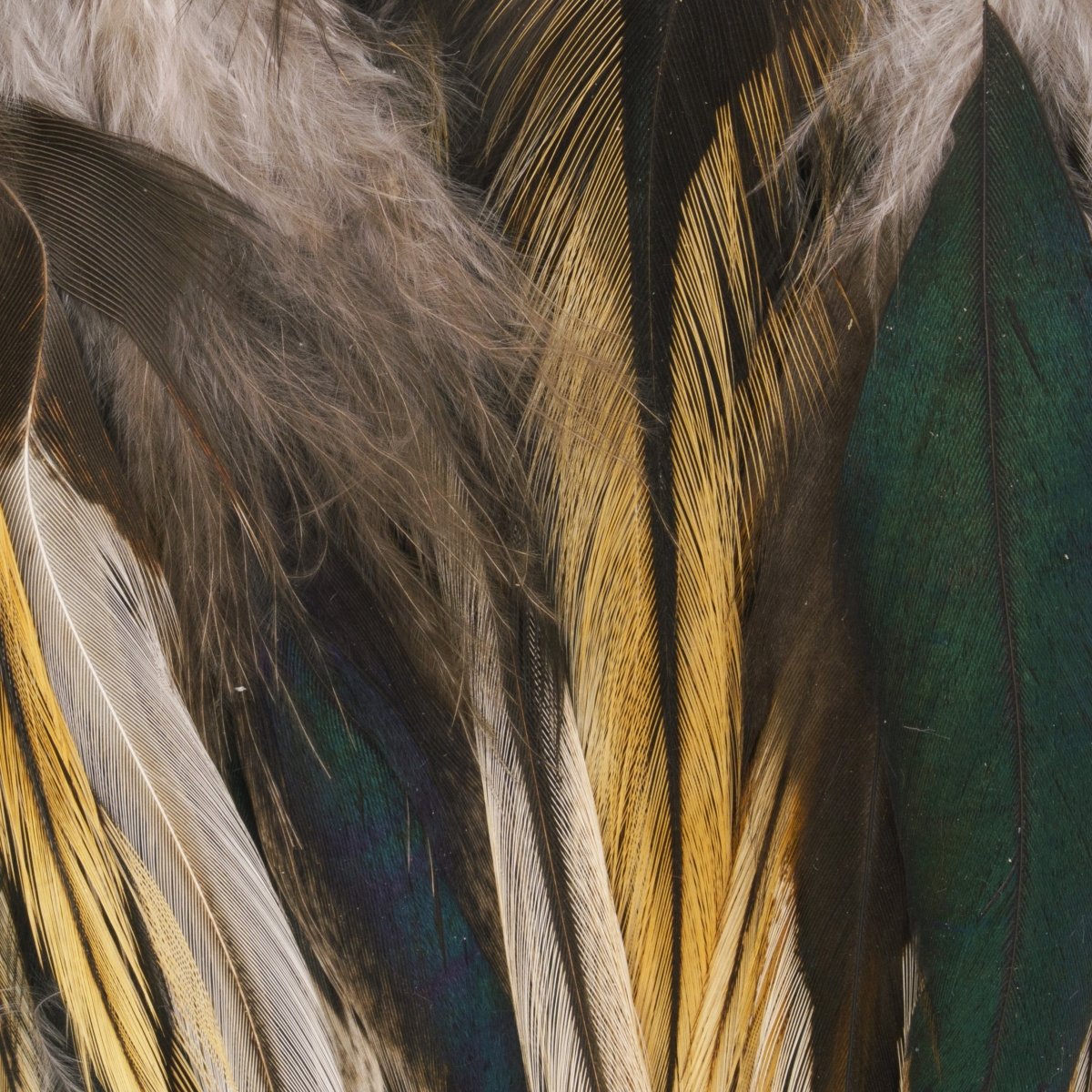 Hareline Dubbin - Hareline Badger 5"-7" Strung Saddle Hackle - Feather Craft Fly Fishing