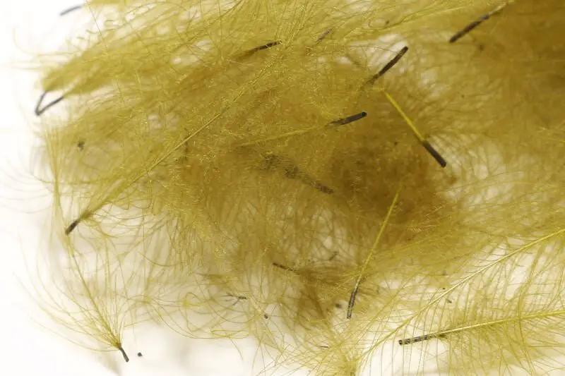 Hareline Bulk CDC 1-Gram Bulk Packs by Hareline Dubbin