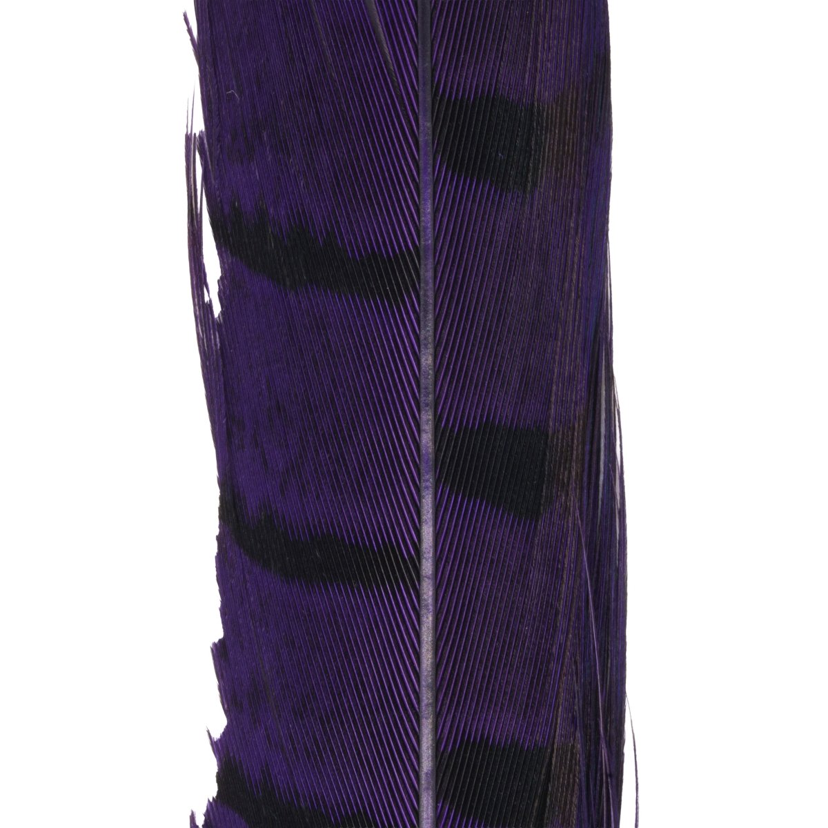 Hareline Dubbin - Hareline Dyed Pheasant Tails - Feather Craft Fly Fishing