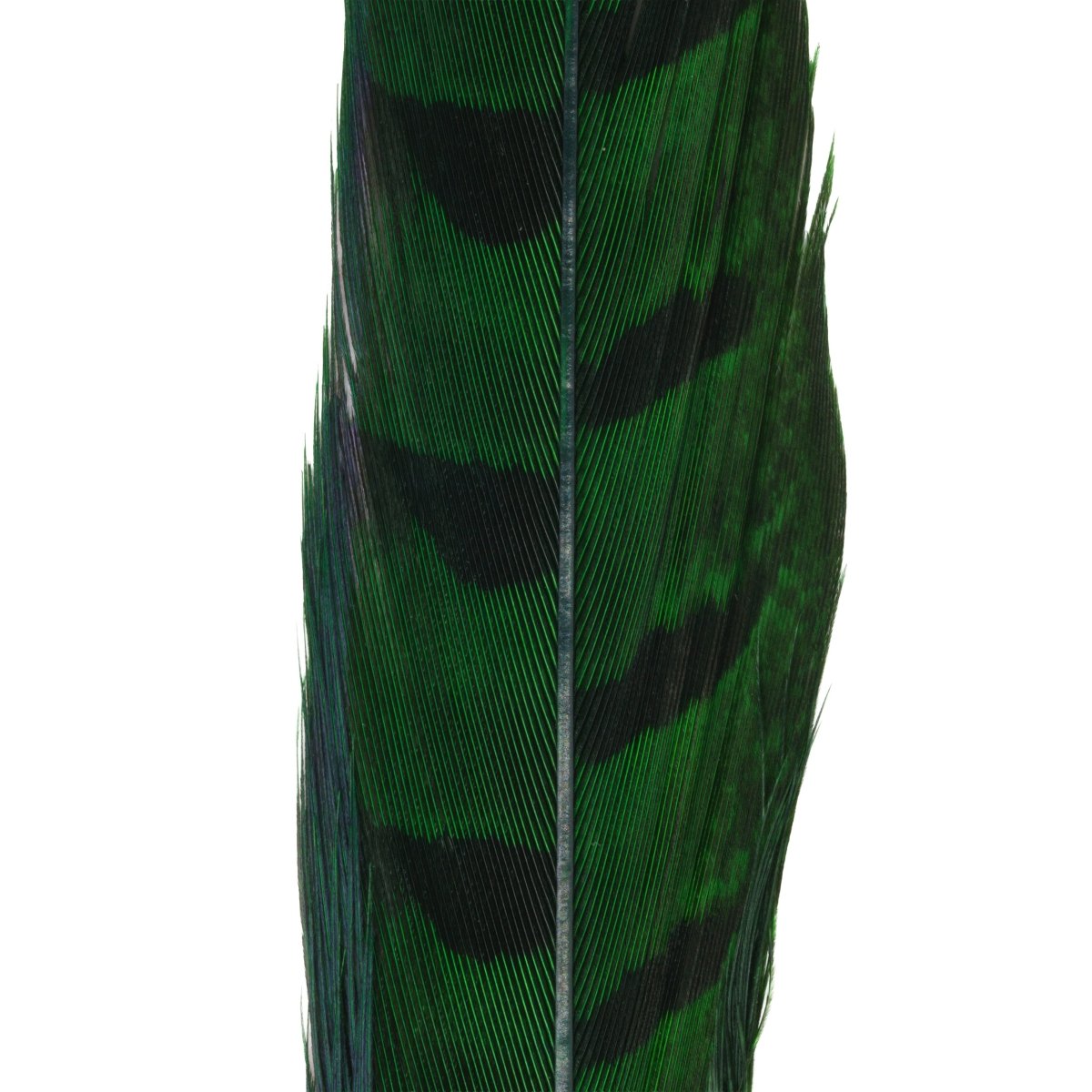 Hareline Dubbin - Hareline Dyed Pheasant Tails - Feather Craft Fly Fishing