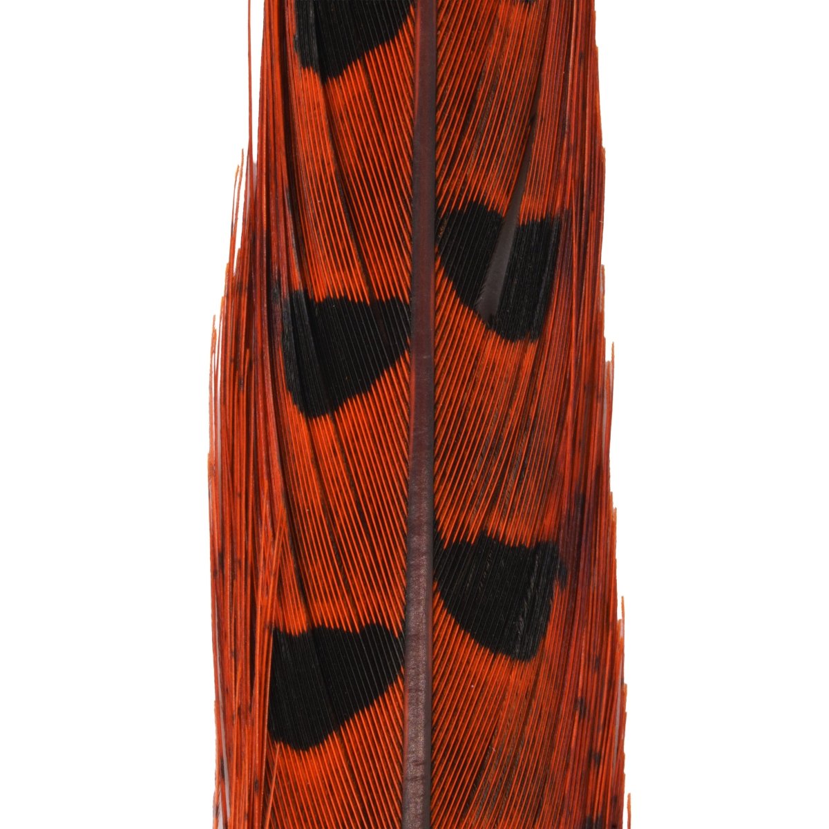 Hareline Dubbin - Hareline Dyed Pheasant Tails - Feather Craft Fly Fishing