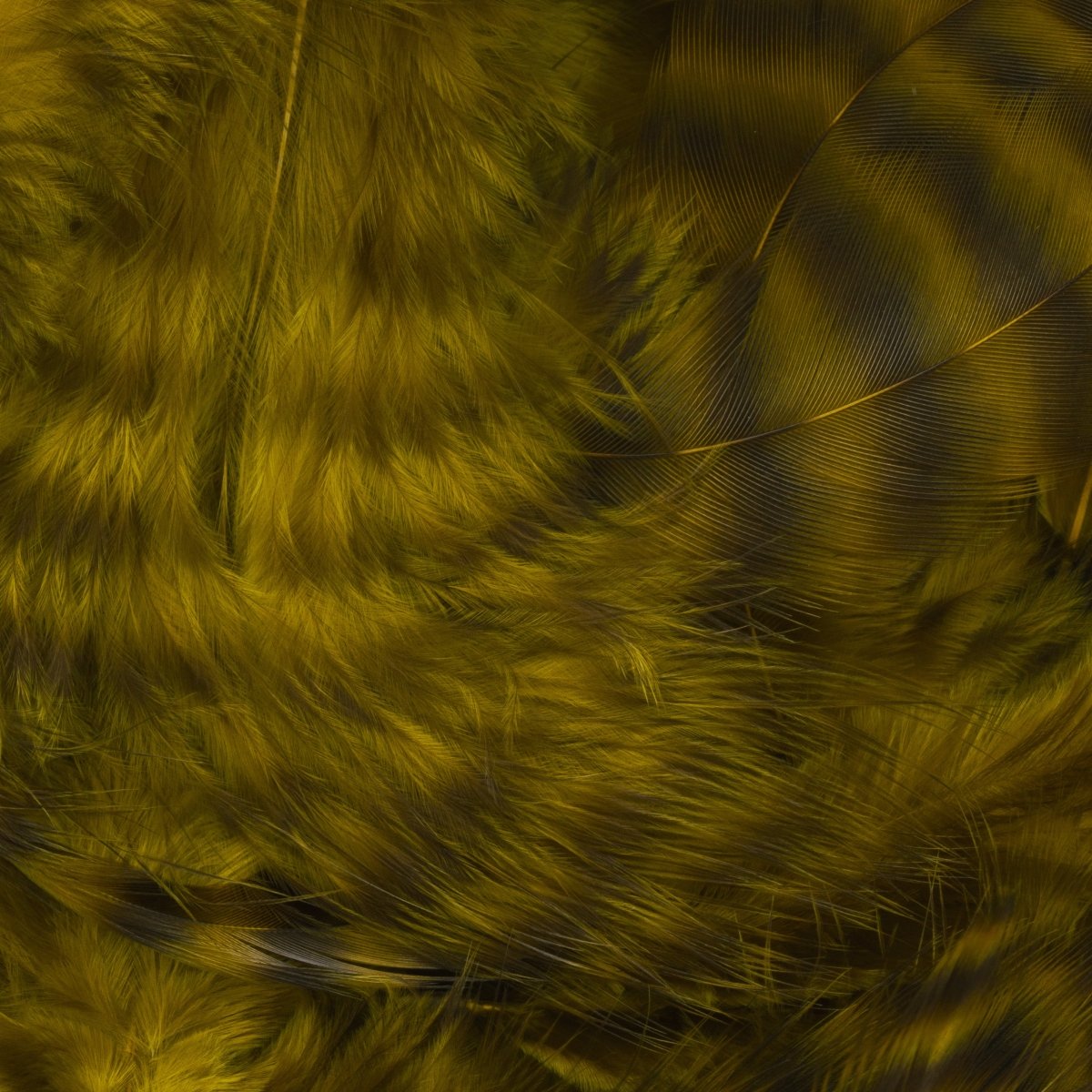Hareline Dubbin - Hareline Grizzly Soft Hackle - Feather Craft Fly Fishing