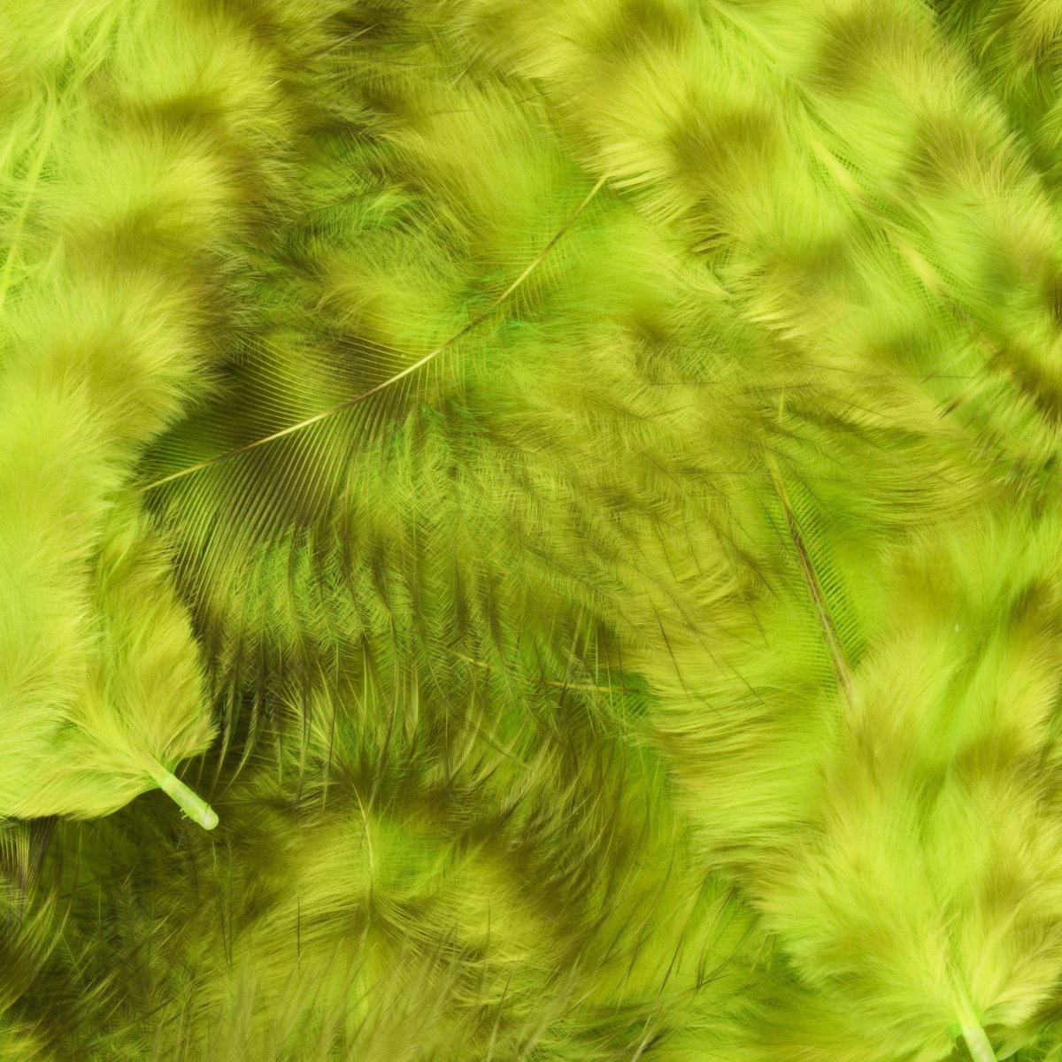 Hareline Dubbin - Hareline Grizzly Soft Hackle - Feather Craft Fly Fishing