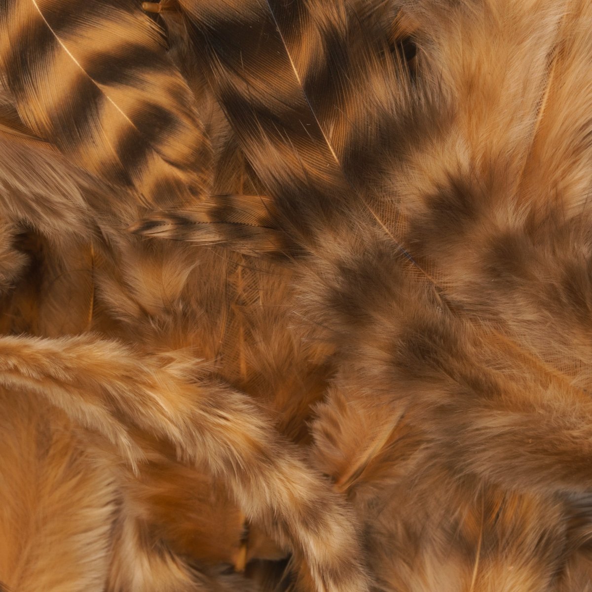 Hareline Dubbin - Hareline Grizzly Soft Hackle - Feather Craft Fly Fishing