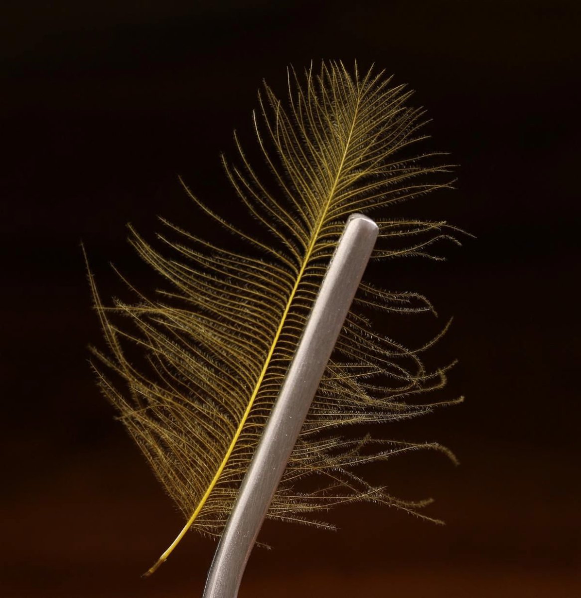 Hareline Dubbin - Hareline Material Clamp Sets - Feather Craft Fly Fishing