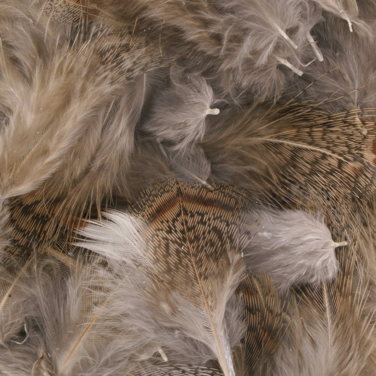 Hareline Dubbin - Hareline Premium Hungarian Partridge Feathers - Feather Craft Fly Fishing