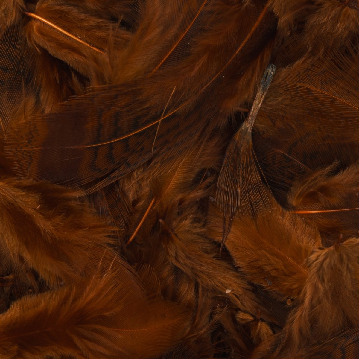 Hareline Dubbin - Hareline Premium Hungarian Partridge Feathers - Feather Craft Fly Fishing