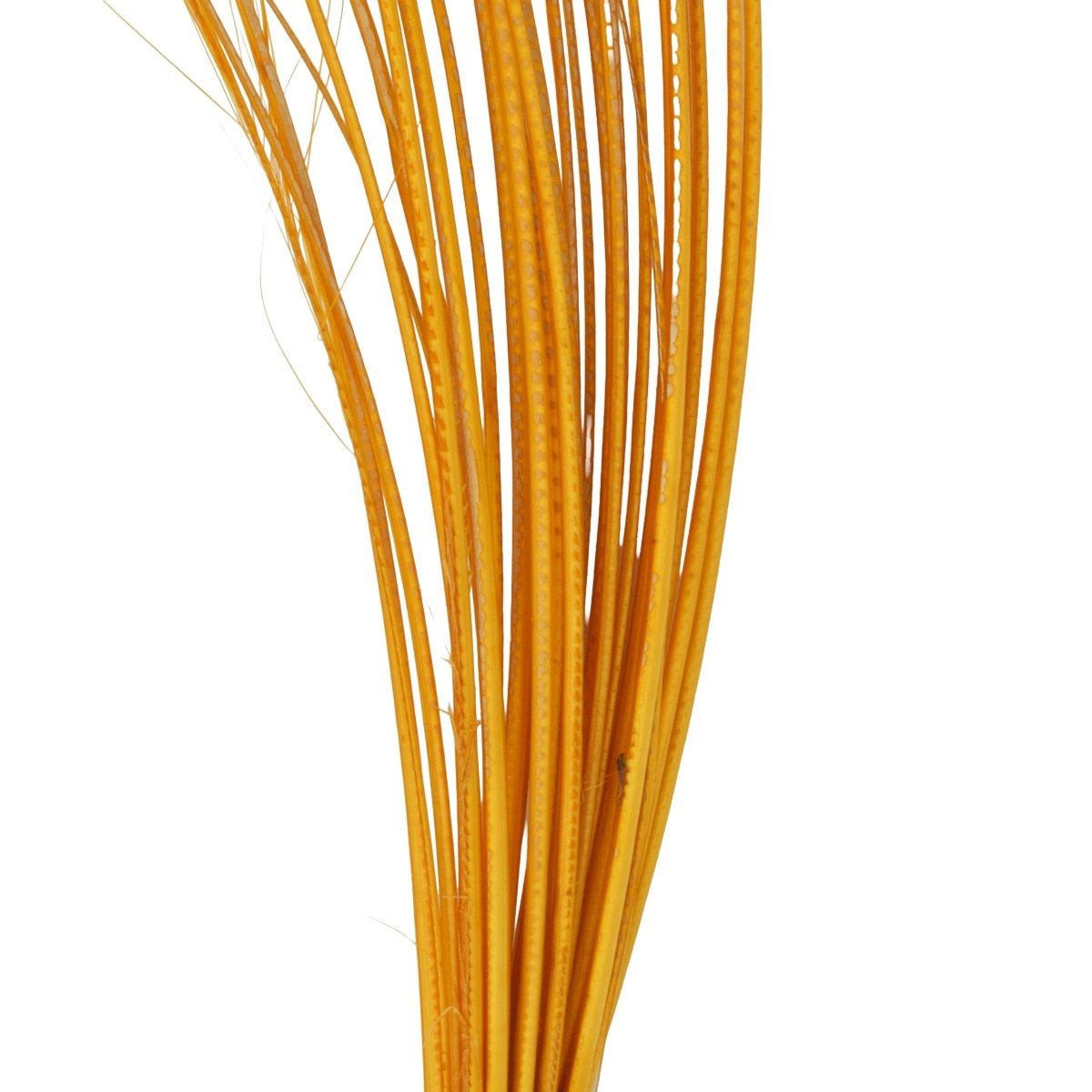 Hareline Dubbin - Hareline Quill Body - Feather Craft Fly Fishing