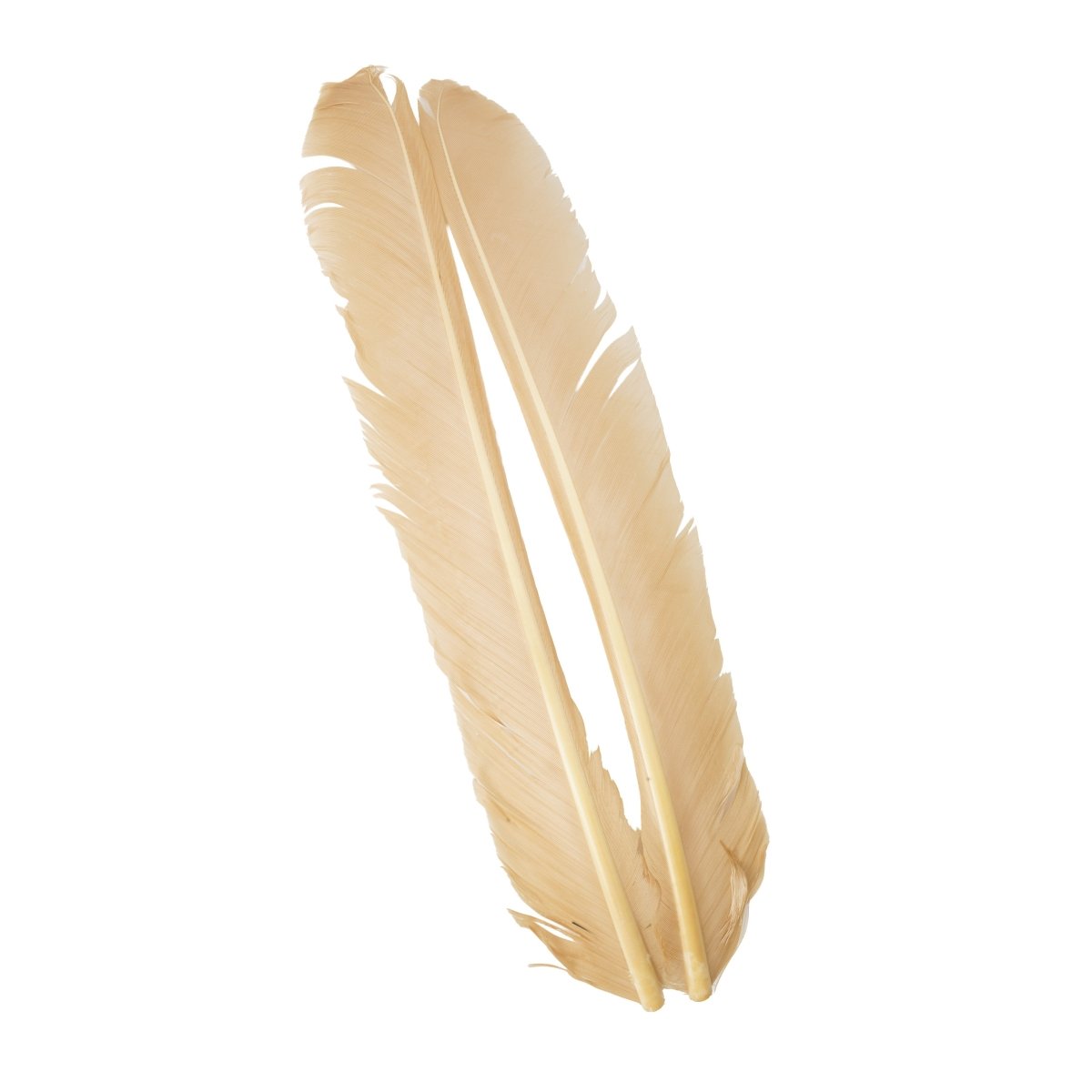 Hareline Dubbin - Hareline Turkey Biots - Feather Craft Fly Fishing