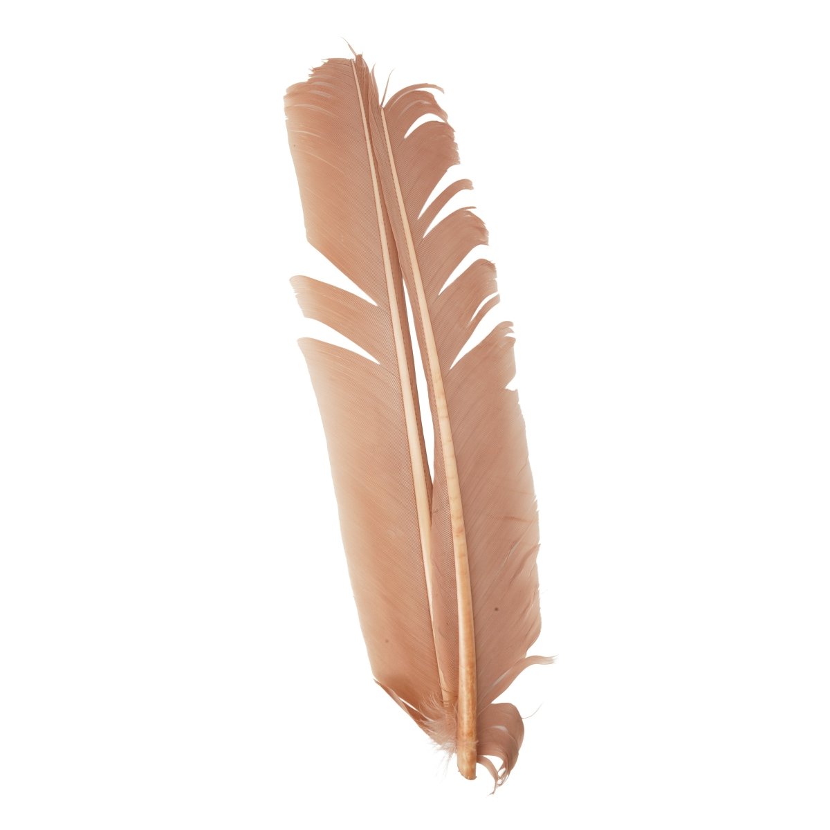 Hareline Dubbin - Hareline Turkey Biots - Feather Craft Fly Fishing