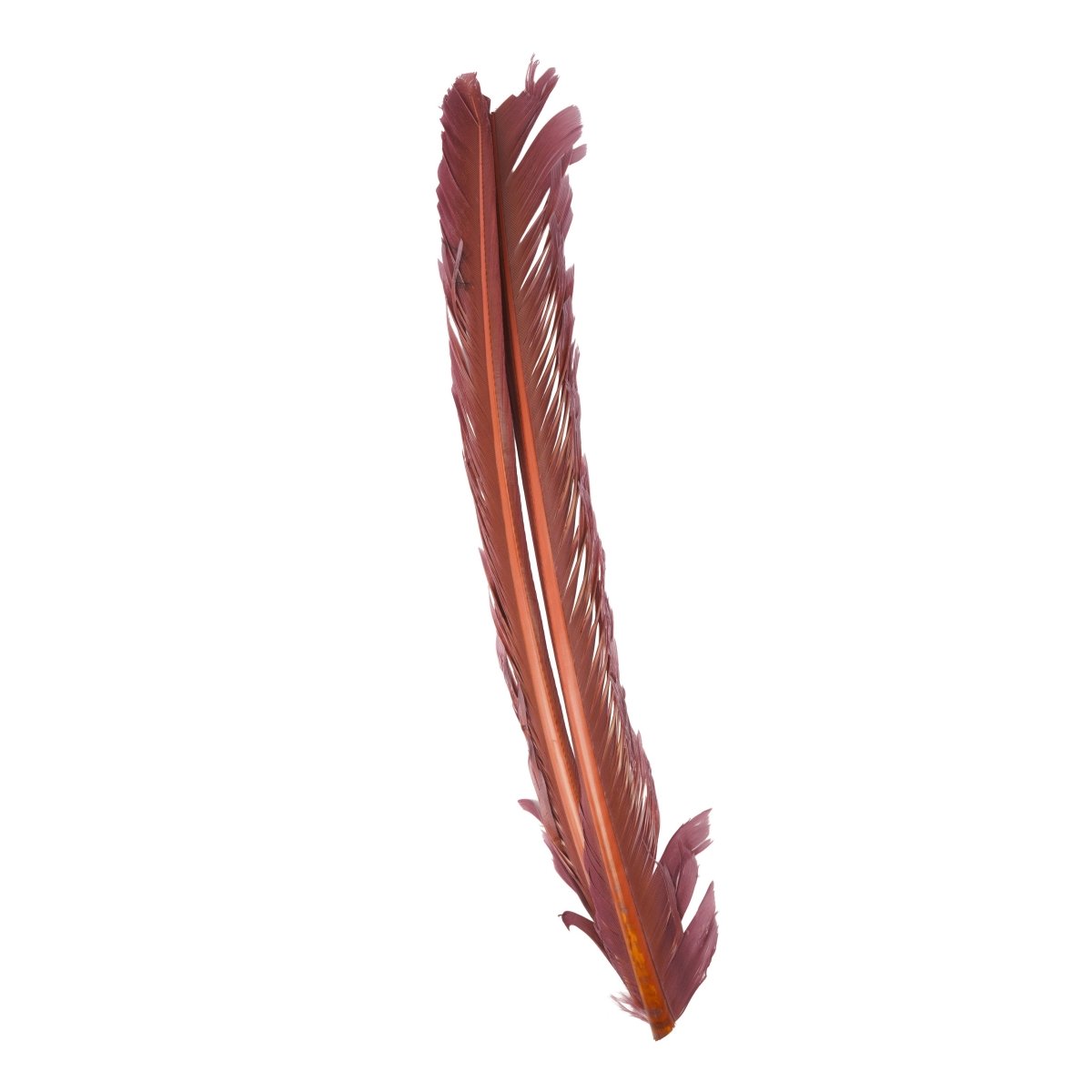 Hareline Dubbin - Hareline Turkey Biots - Feather Craft Fly Fishing