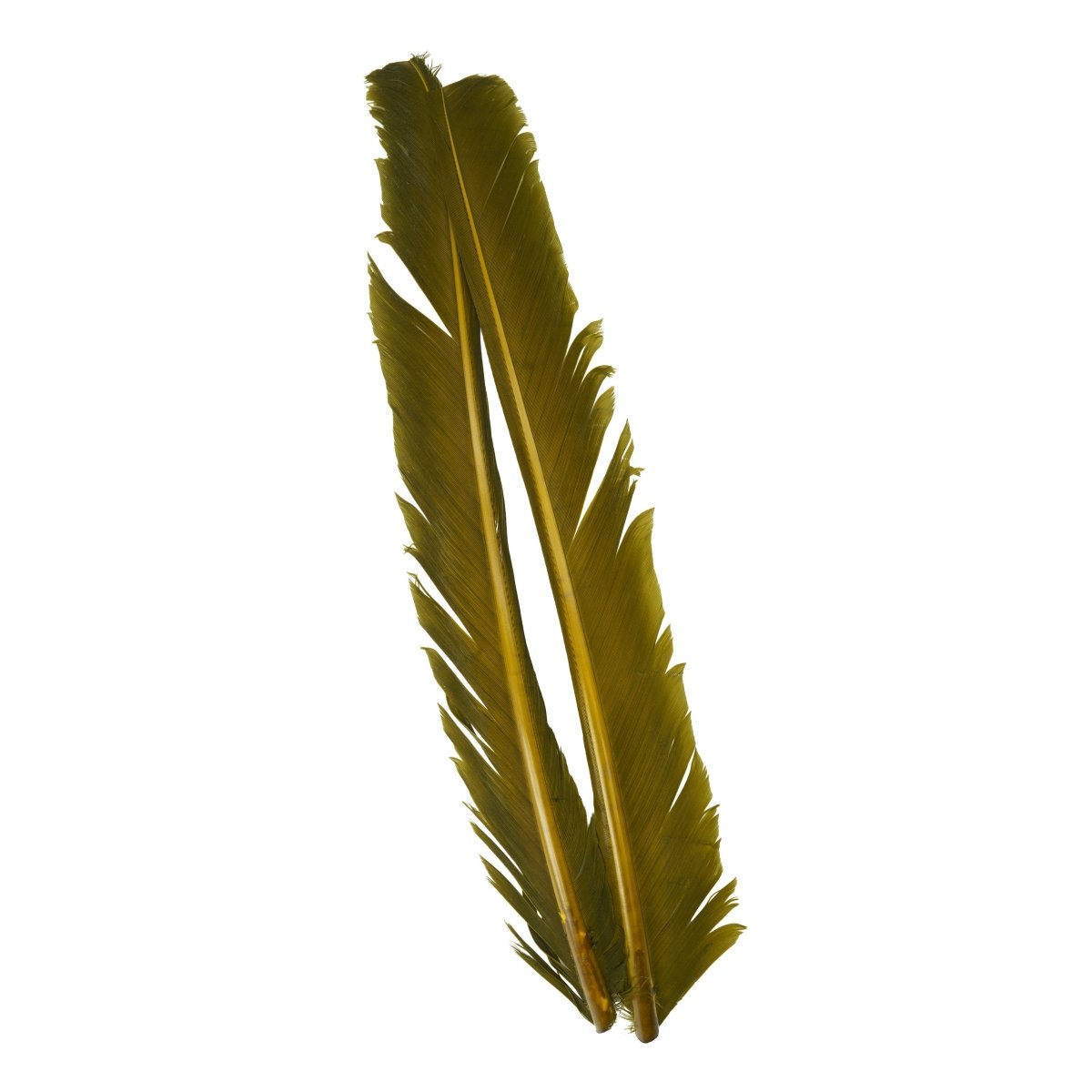 Hareline Dubbin - Hareline Turkey Biots - Feather Craft Fly Fishing