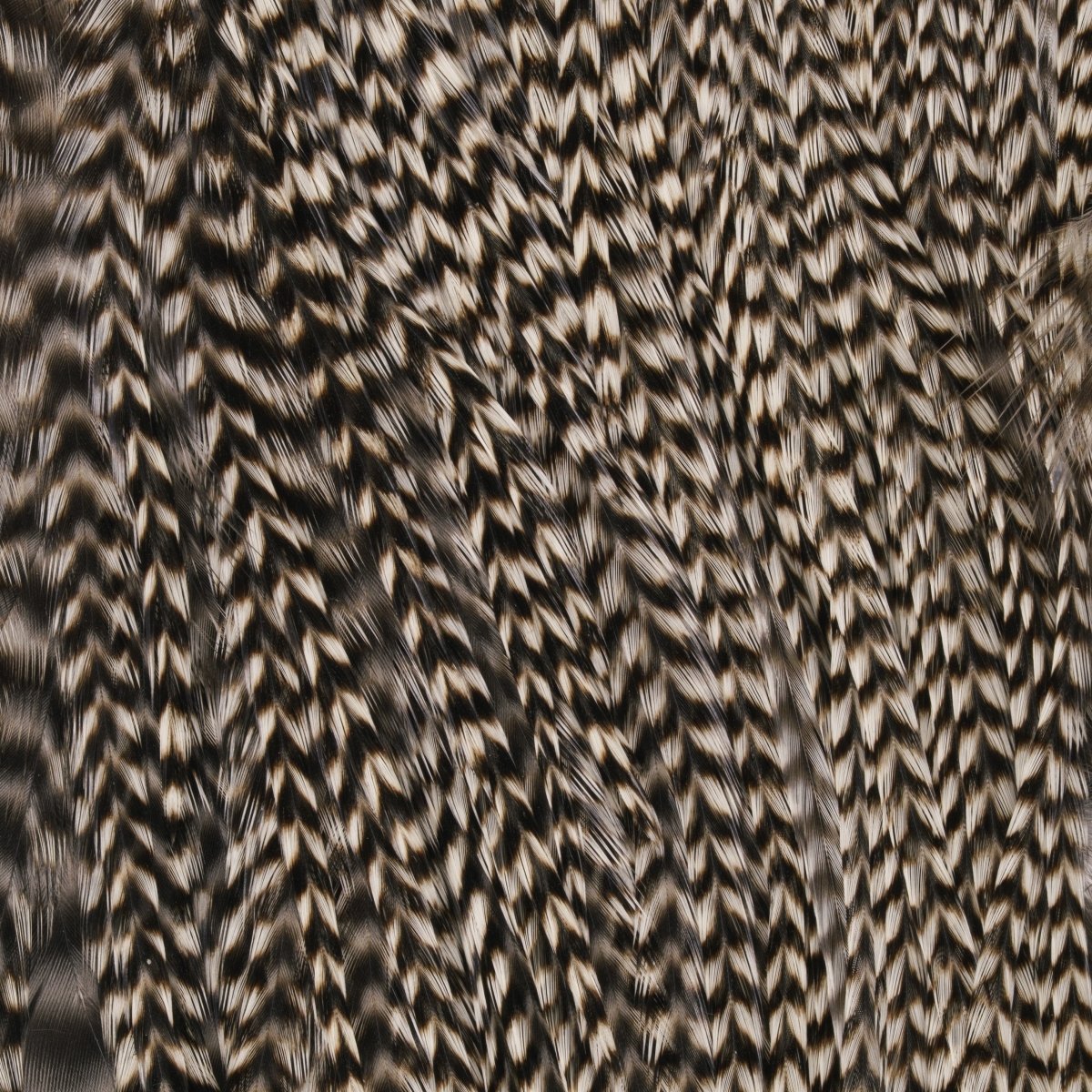 Hareline Dubbin - Keough Grade 1 Grizzly Half Saddle - Feather Craft Fly Fishing
