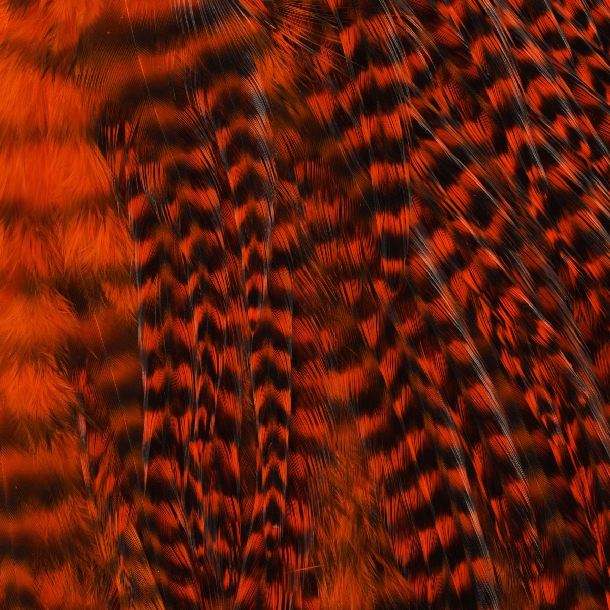 Hareline Dubbin - Keough Grade 2 Grizzly Half Saddle - Feather Craft Fly Fishing