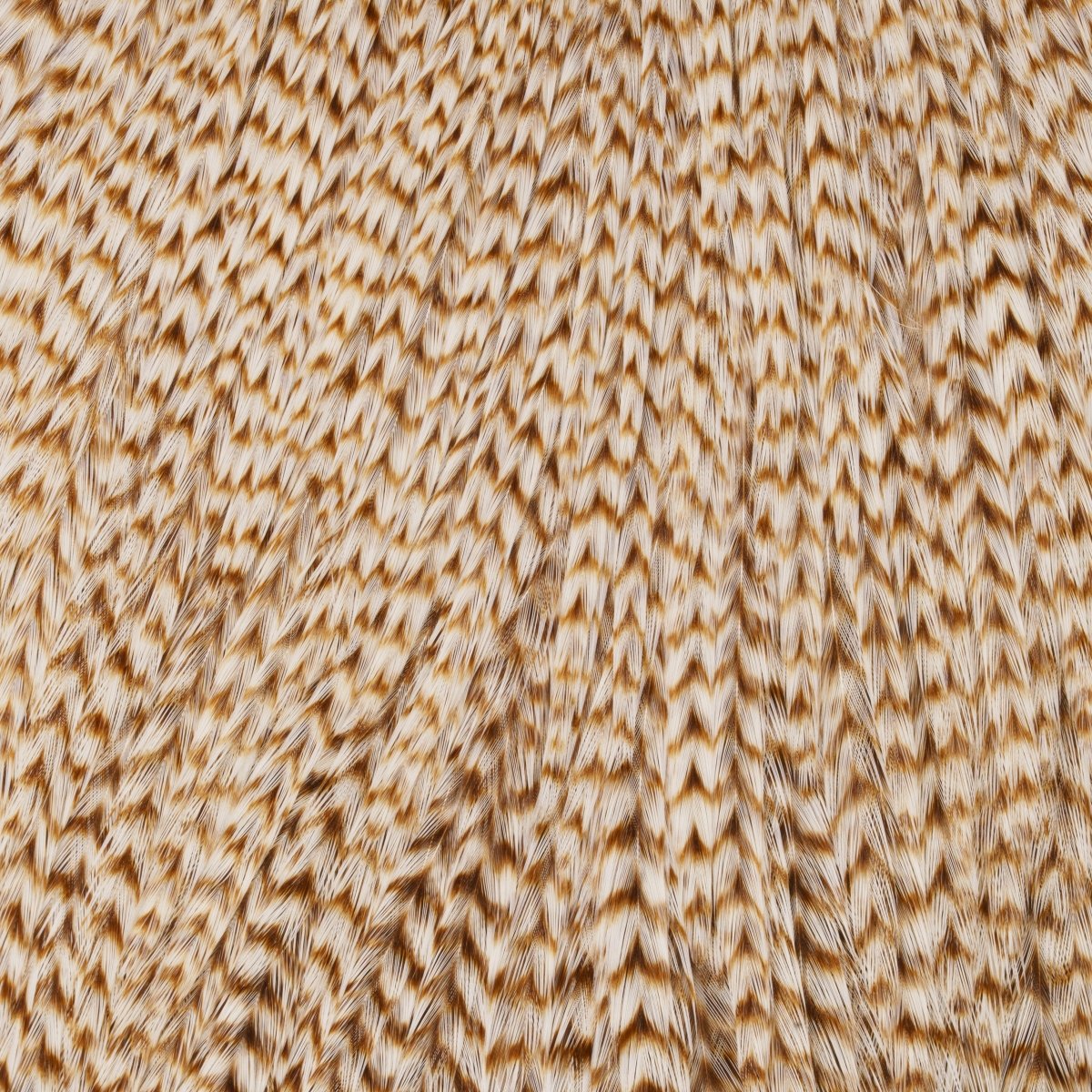 Hareline Dubbin - Keough Tyers Grade Cape - Feather Craft Fly Fishing
